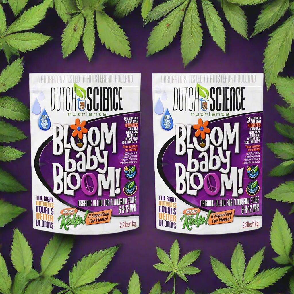 BLOOM baby BLOOM 1kg
