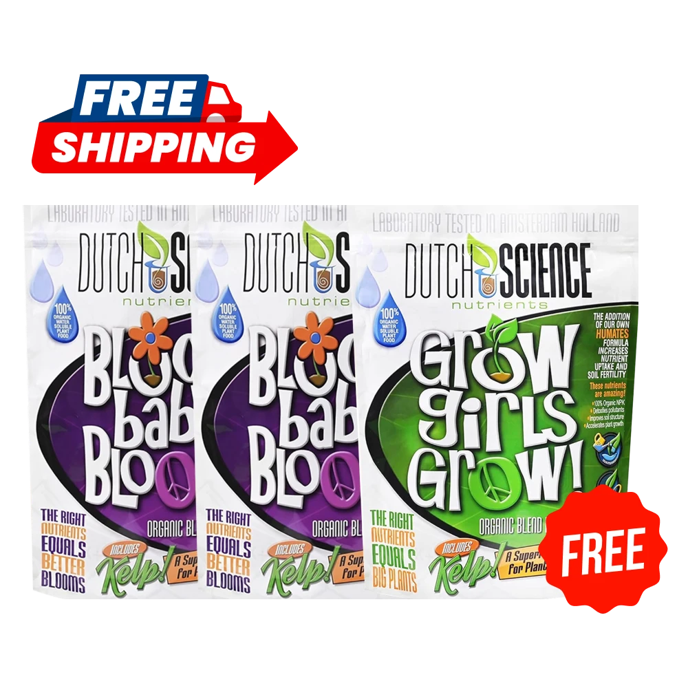 Buy 2 and get 3rd for FREE BLOOM baby BLOOM