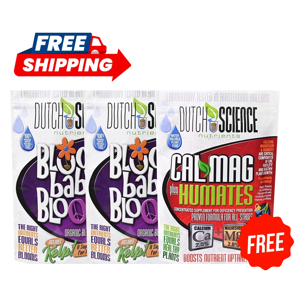 Buy 2 and get 3rd for FREE BLOOM baby BLOOM
