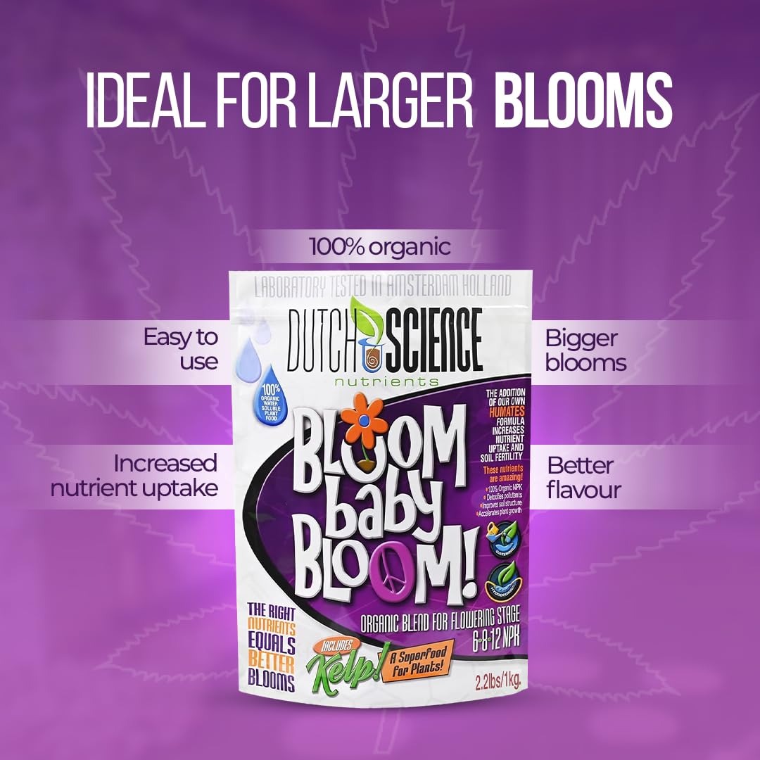 BLOOM baby BLOOM 1kg