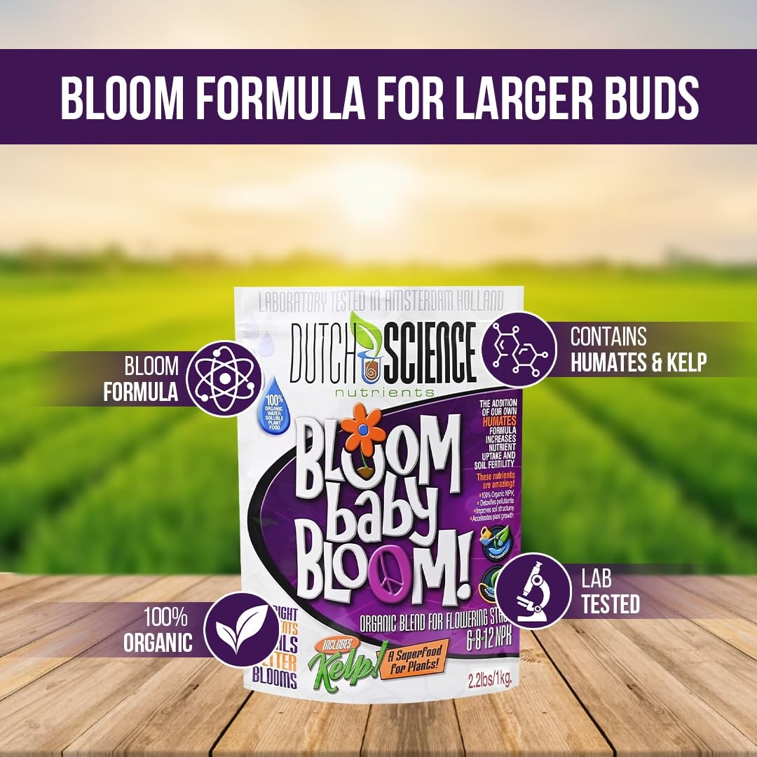BLOOM baby BLOOM 1kg