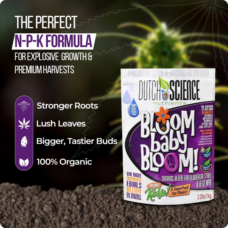 BLOOM baby BLOOM 1kg