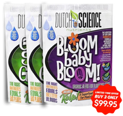 Bloom baby Bloom